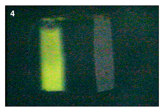 Left and right fluid path imaged after binding FITC labeled antibody to sensor slide surface.