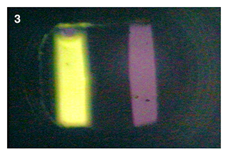 Left and right flow paths imaged while flowing an FITC labeled antibody over the left channel surface. FITC label excited by light from above the sensor surface (through buffer).