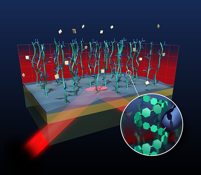 Stabilization of sensor surfaces against non-specific interaction