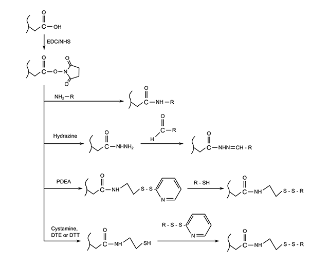 Four methods for the covalent immobilization of amine, thiol or aldehyde containing ligands on carboxylated surfaces