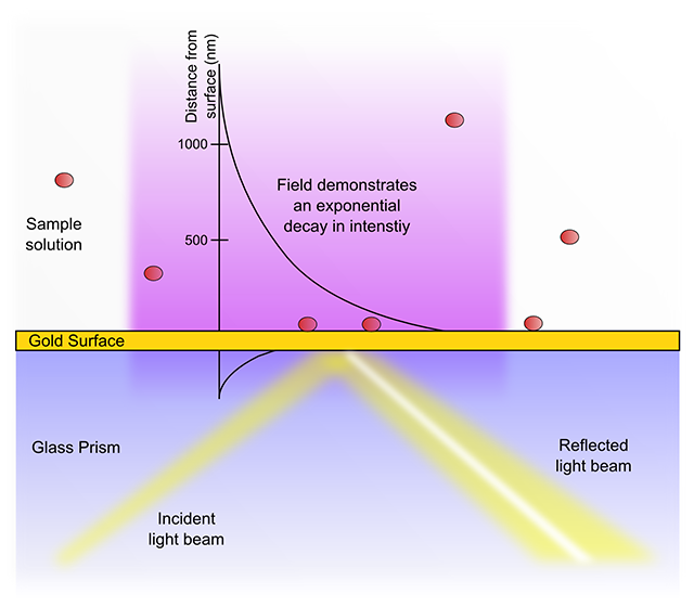 SPR principle